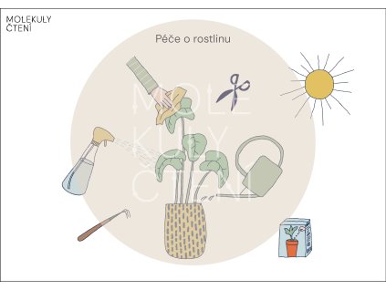 péče o roslinu
