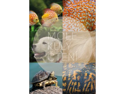 pod lupou zvířata 2