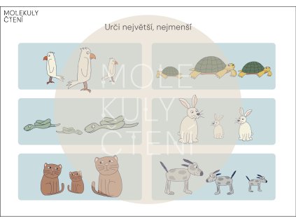 urči největší mazlíčci