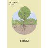 Strom