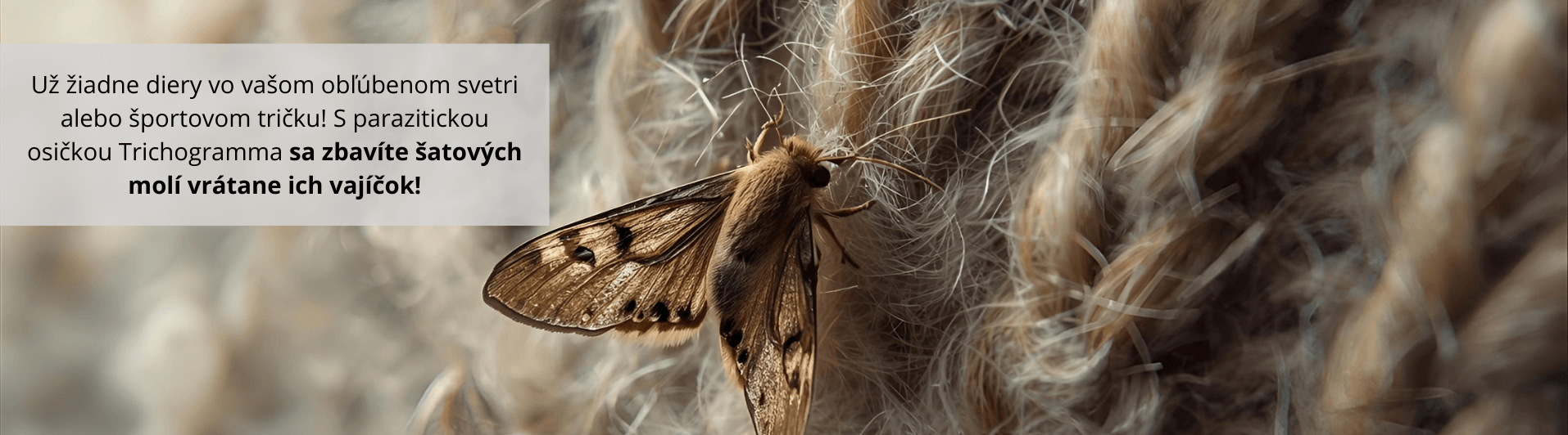 Už žiadne diery vo vašom obľúbenom svetri alebo športovom tričku! S parazitickou voskom Trichogramma sa zbavíte šatových molí vrátane ich vajíčok!
