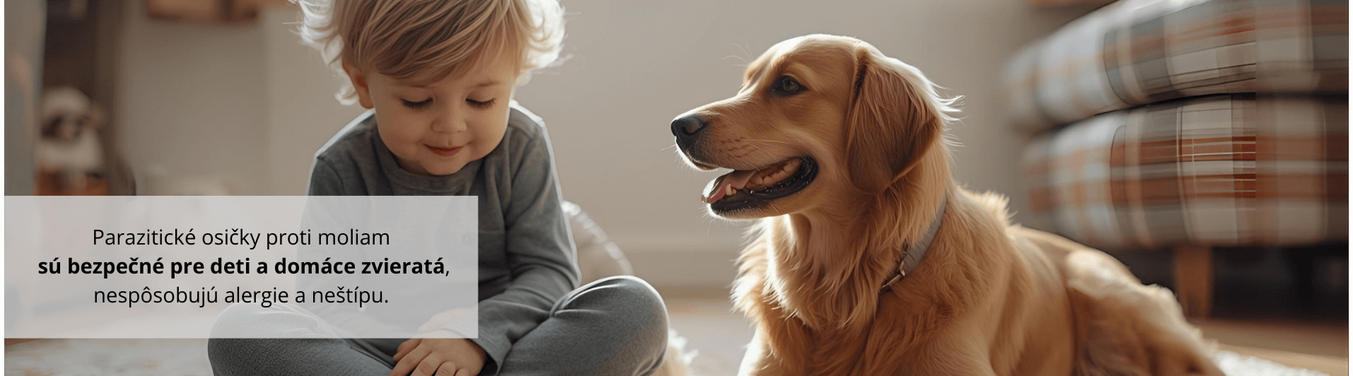 Parazitické osičky proti moliam sú bezpečné pre deti a domáce zvieratá, nespôsobujú alergie a neštípu.