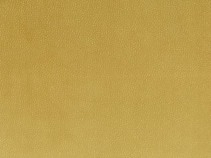 Potahová látka Nabucco 25