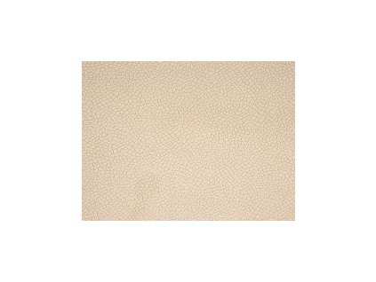 Potahová látka Bora Terra 04