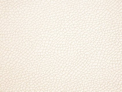 Potahová látka Bora Terra 01