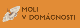 Moli v domácnosti