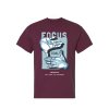 Fokus maroon