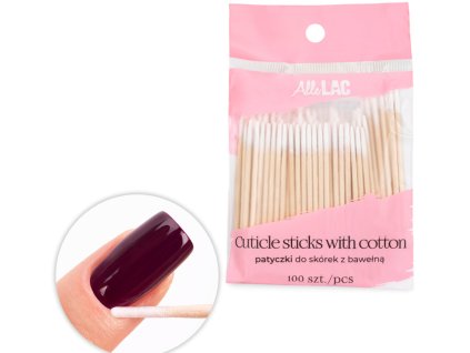 Snímek obrazovky 2025 11 06 095713