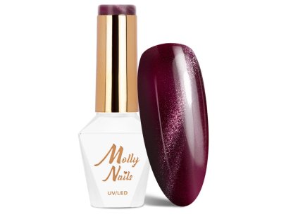 Snímek obrazovky 2025 11 13 190709