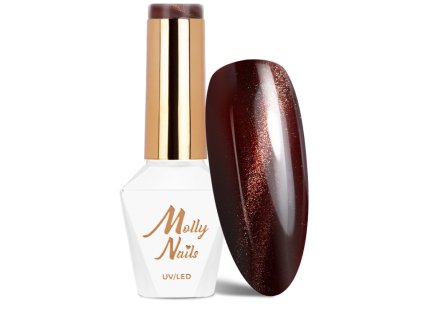 Snímek obrazovky 2025 11 13 190823