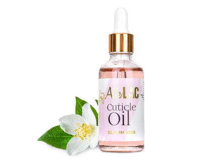 Snímek obrazovky 2025 11 26 180650