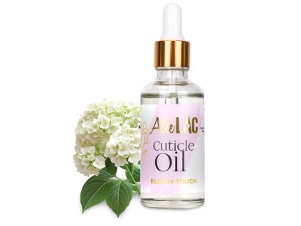 Snímek obrazovky 2025 11 26 180818