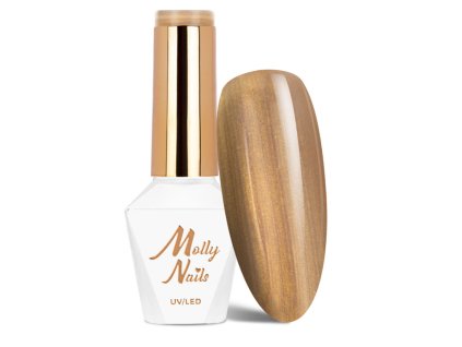 Snímek obrazovky 2025 12 03 115111