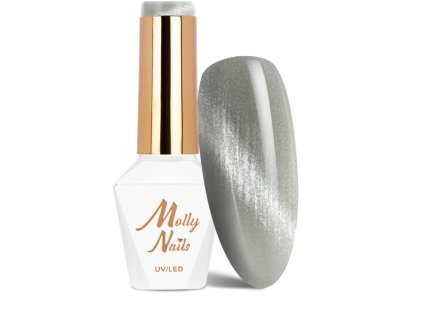 Snímek obrazovky 2025 12 09 132059