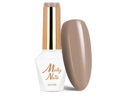 Snímek obrazovky 2025 12 22 102127