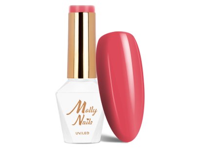 Snímek obrazovky 2025 12 22 102241