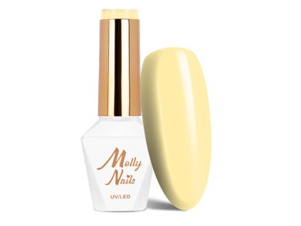 Snímek obrazovky 2025 12 22 102924