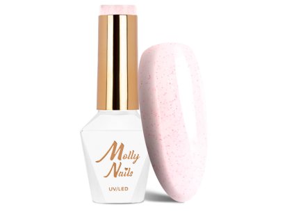 Snímek obrazovky 2025 12 22 103143