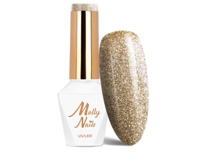 Snímek obrazovky 2025 12 22 104558