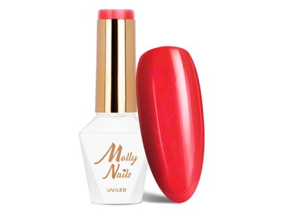 Snímek obrazovky 2025 12 22 105620