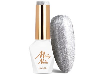 Snímek obrazovky 2025 12 22 105721