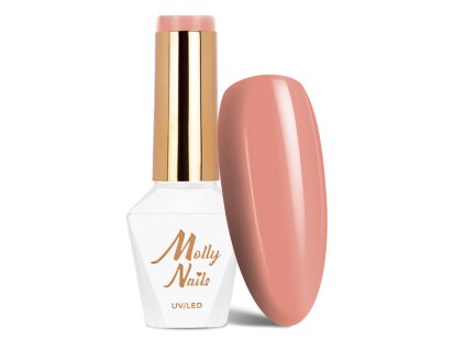 Snímek obrazovky 2025 12 22 110408