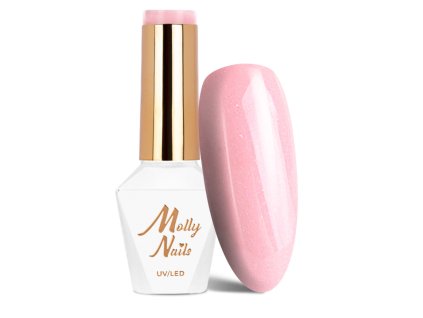 Snímek obrazovky 2025 12 22 110729