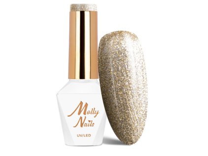 Snímek obrazovky 2025 12 22 123907