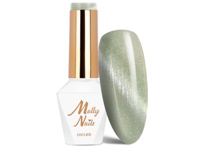 Snímek obrazovky 2025 12 22 124306