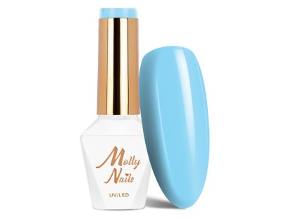 Snímek obrazovky 2025 12 22 124933