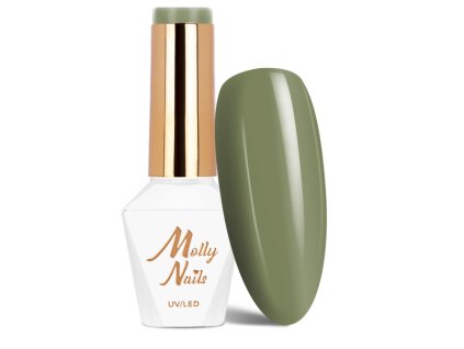 Snímek obrazovky 2025 12 22 125557