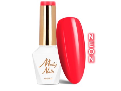 Snímek obrazovky 2025 12 22 130127