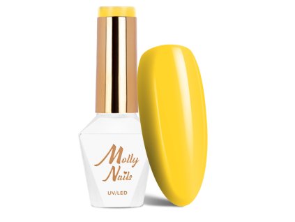 Snímek obrazovky 2025 12 22 141241