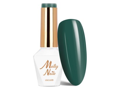 Snímek obrazovky 2025 12 22 141355