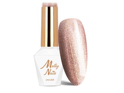 Snímek obrazovky 2025 12 22 141858