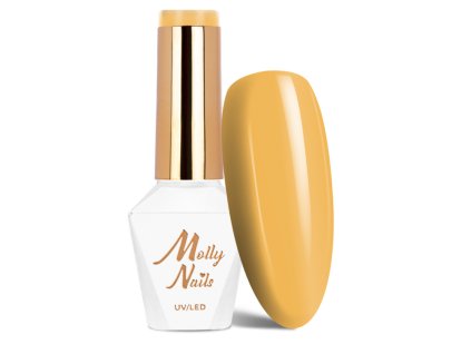 Snímek obrazovky 2025 12 22 142104