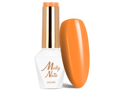 Snímek obrazovky 2025 12 22 142431