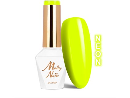 Snímek obrazovky 2025 12 22 143836