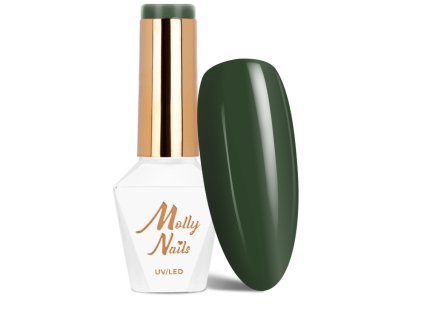 Snímek obrazovky 2025 12 22 144011