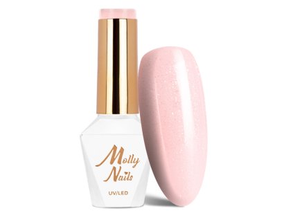 Snímek obrazovky 2025 12 22 144047