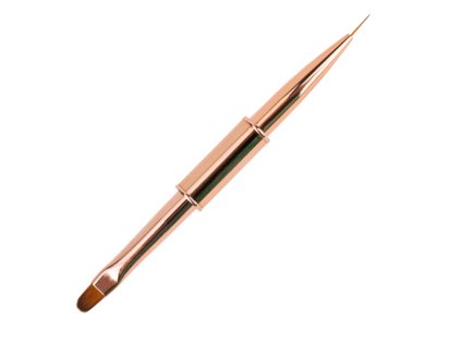 Snímek obrazovky 2026 01 19 110537