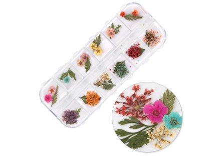 Snímek obrazovky 2026 01 19 111151