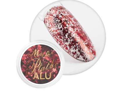 Snímek obrazovky 2026 01 30 175709