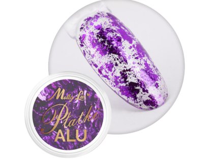 Snímek obrazovky 2026 01 30 175905