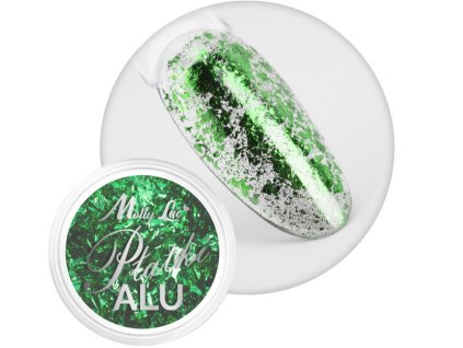 Snímek obrazovky 2026 01 30 180306