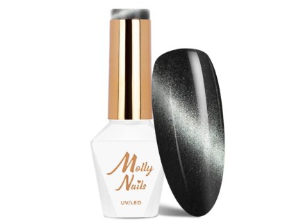 Snímek obrazovky 2026 01 30 181935