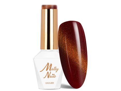 Snímek obrazovky 2026 01 30 182558