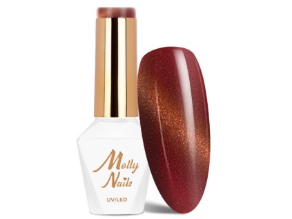 Snímek obrazovky 2026 01 30 182703