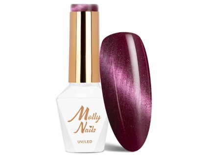 Snímek obrazovky 2026 01 30 182746