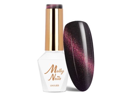 Snímek obrazovky 2026 01 30 182842